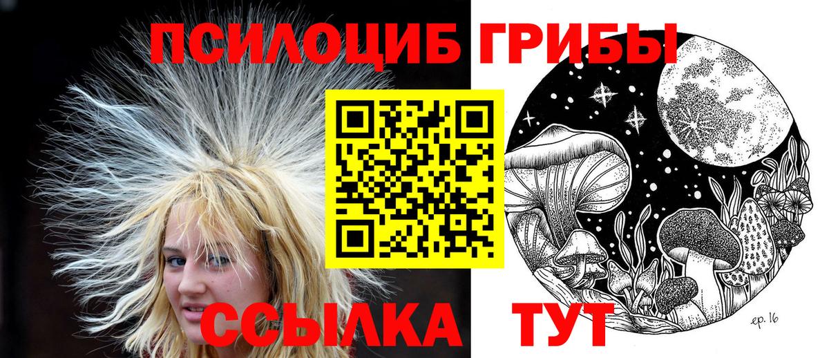 Галлюциногенные грибы Psilocybine cubensis  Вход с VPN  Усолье-Сибирское 